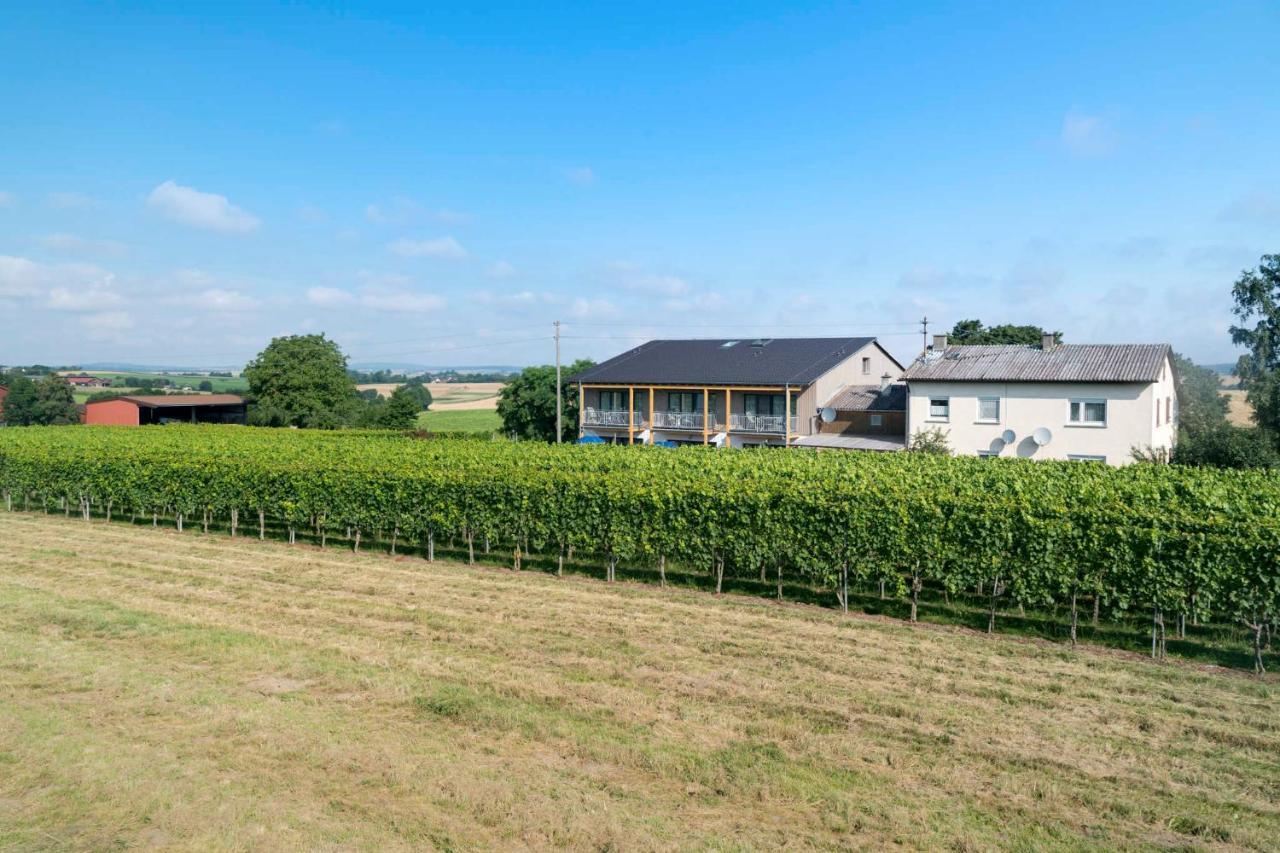 Winzerhof Schmid Apartamento Schwaigern Exterior foto
